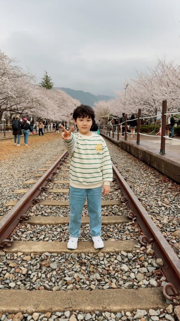 벚꽃과 어린이 사진, 철로 위에서 포즈를 취하는 아이.