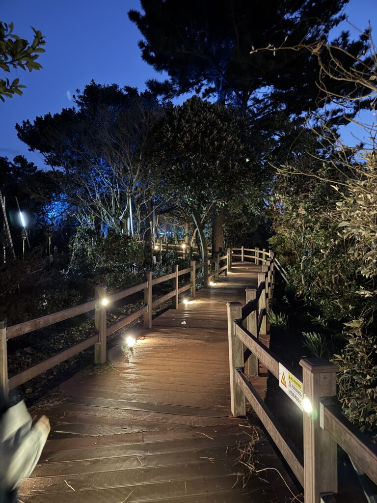 서섬의 아름다운 밤 산책로와 자연 풍경.