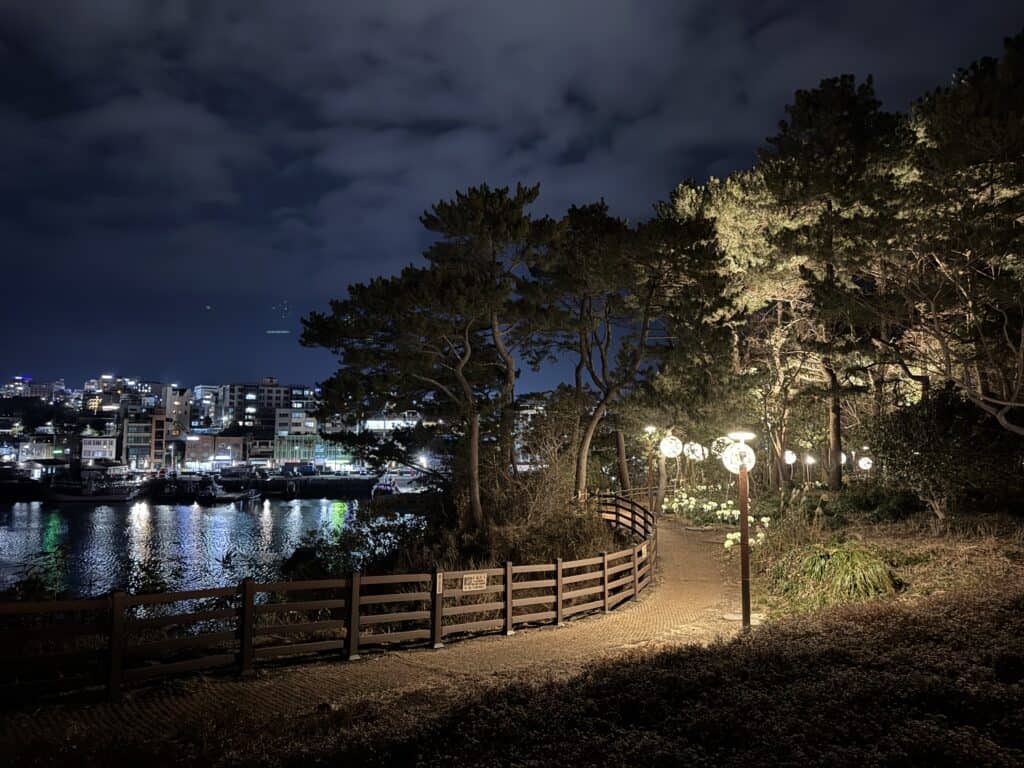 새섬 산책로 야경, 밤에 조명과 자연이 어우러진 아름다운 풍경.