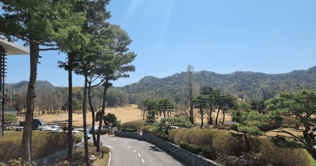 Beautiful natural scenery at Lakewood CC with a winding road running through the course.