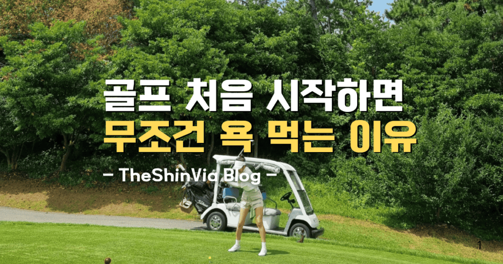 골프 처음 시작하면 무조건 욕 먹는 이유 TheShinvia blog