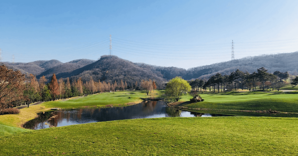 cenic view of Maestro CC fairway with a large water hazard.