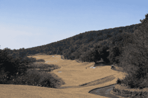 Winter fairway view at Phantom Golf Club Jeju with rolling hills and strategic bunker layout