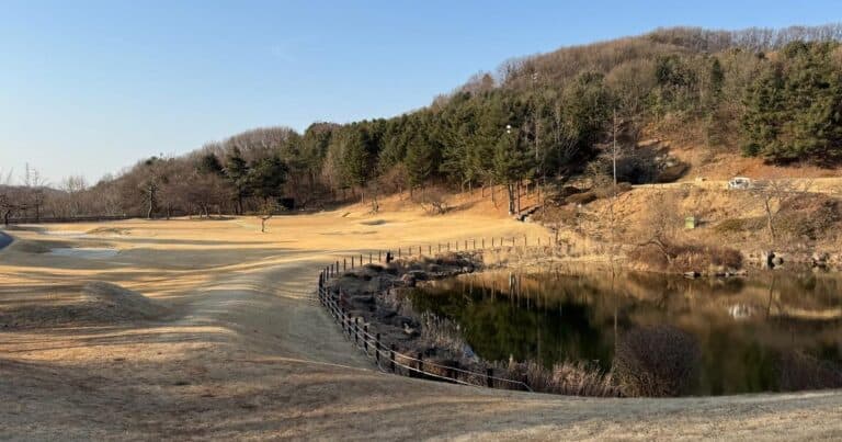 용인 수도권 골프장 페어웨이와 자연 풍경.