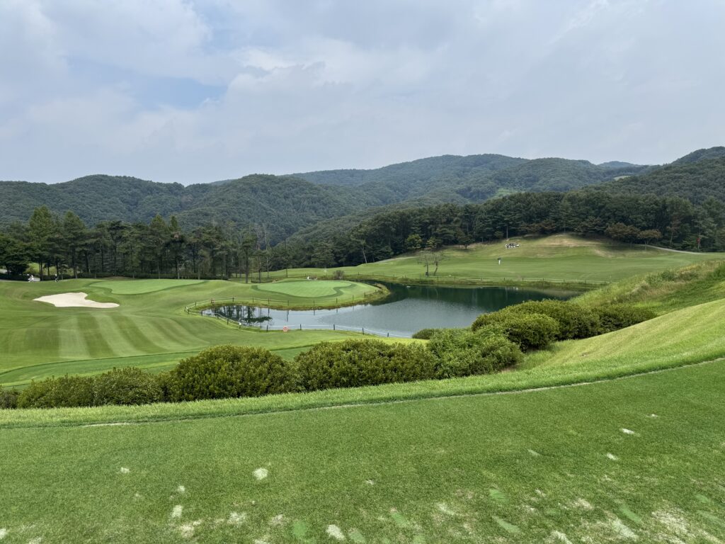 용인 아시아나CC 동코스 골프장 전경, 푸른 잔디와 산이 어우러진 자연 풍경.