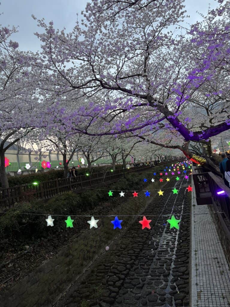 진해 벚꽃 축제 야경과 조명 장식이 어우러진 아름다운 풍경.