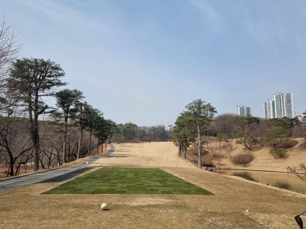 골프장 풍경, 푸른 잔디와 주변 자연 경관이 어우러진 모습입니다.