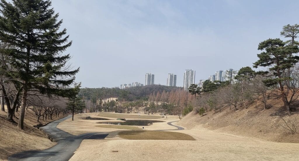 수원 CC 골프장 풍경, 도심 근처의 프리미엄 겨울 골프 코스.