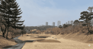 수원 CC 골프장 전경, ㅁ도심과 자연이 어우러진 프리미엄 겨울 골프 코스.