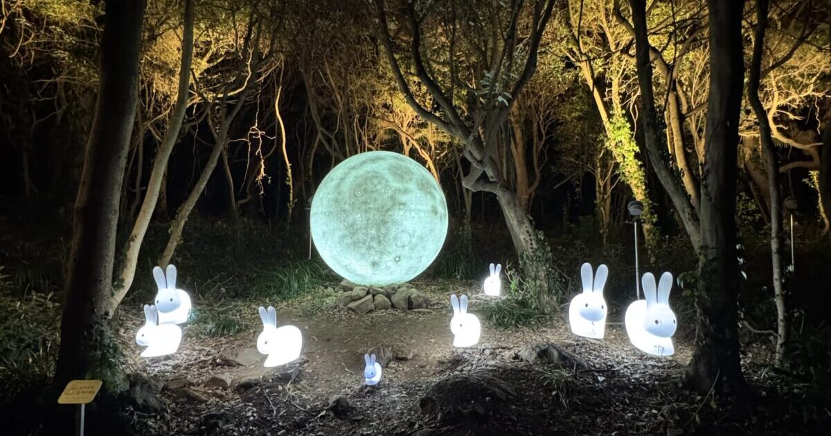 A panoramic view of the life shot photo zone where the moon and rabbit-shaped sculptures sparkle during night lighting on Seogwipo Saeseom promenade