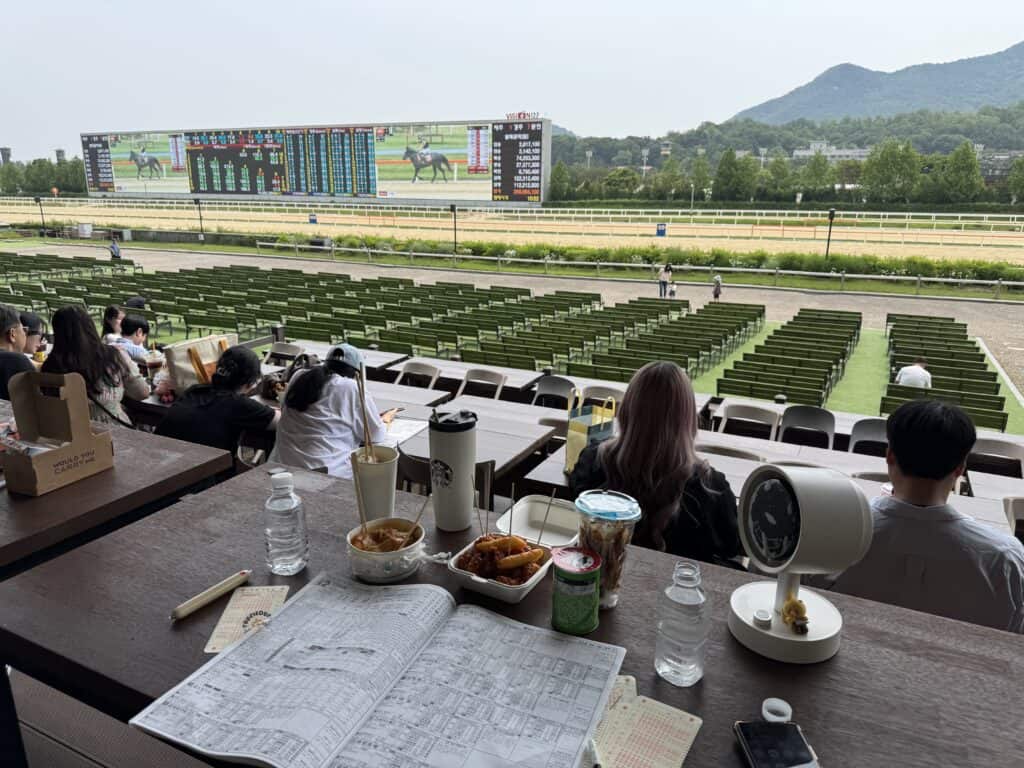 경마장 벚꽃 축제에서 경주를 관람하는 관객들 모습.