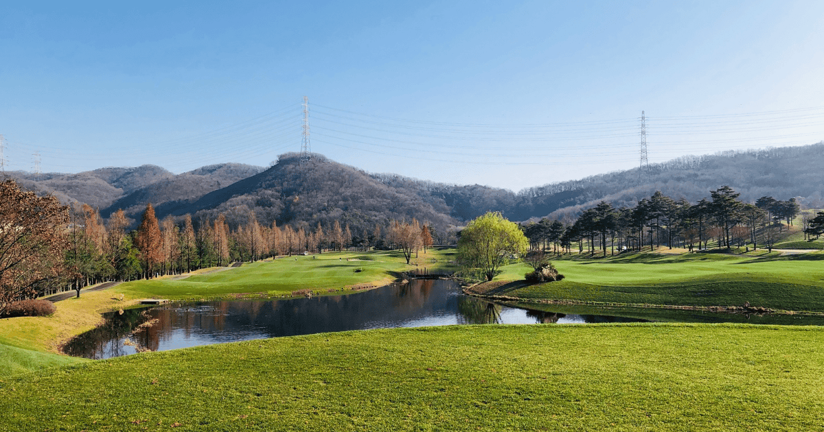 cenic view of Maestro CC fairway with a large water hazard.