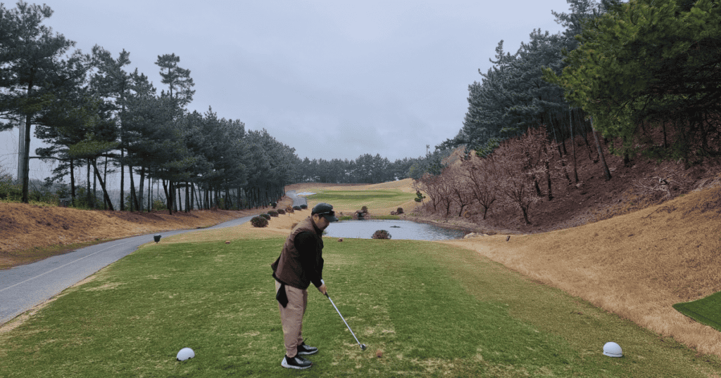 골프장에서 골프를 치는 남성 모습, 푸른 잔디와 자연 풍경이 어우러진 모습입니다.